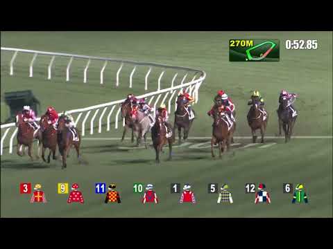 18/5/2022 (678) Valiant Elegance -  L Hewitson