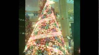 The  CHRISTMAS Song   David Benoit