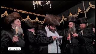 חתונת האדמו"ר סאנז זמיגרד - תמוז 5783