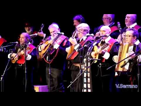 Cuarentuna de Burgos (CUBU) Estrellita del Sur vals Peruano