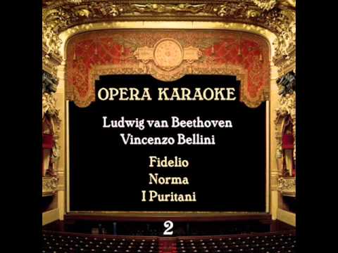 Ludwig van Beethoven - Fidelio, op. 72 : In Florestans kerker