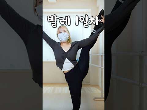 발레 취미로 하면 생기는일 1일차