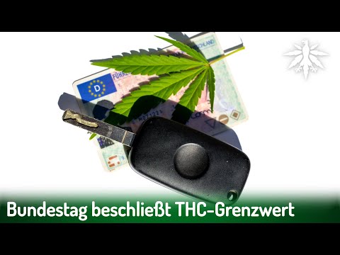 Bundestag beschließt THC-Grenzwert | DHV-News # 423