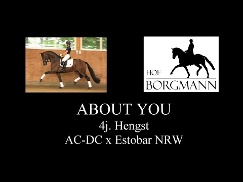 ABOUT YOU --- Hof Borgmann --- Juni 2020