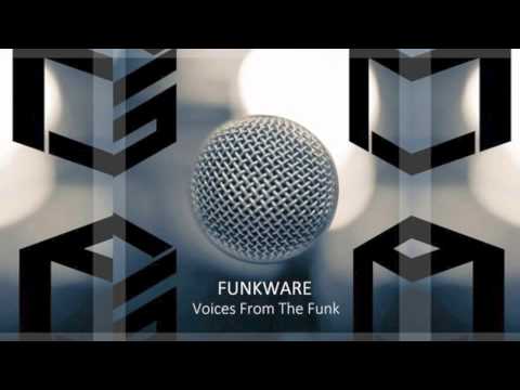 Funkware feat. Albert Tempel - Soulminer [Funkstuff Recordings]