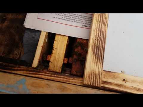 Impachetarea stupilor pentru iernat