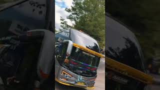 Download lagu (JJ MODE PESAWAT) ANDARA × MIYOR × PANDAWA 87 #fypシviral #jetbus #busmania #viralvideo #shorts #fyp mp3