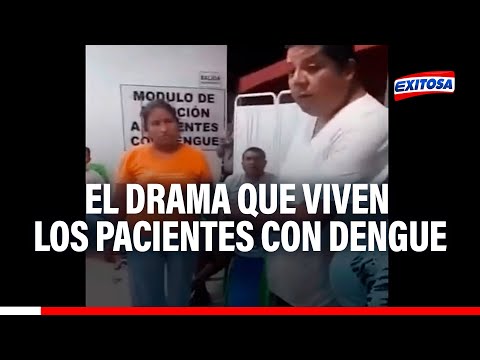 🔴🔵Áncash - Casma: Familiares de pacientes con dengue viven un drama