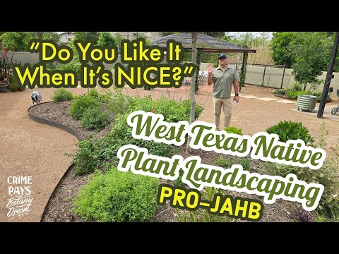West Texas Native Plant Landscaping