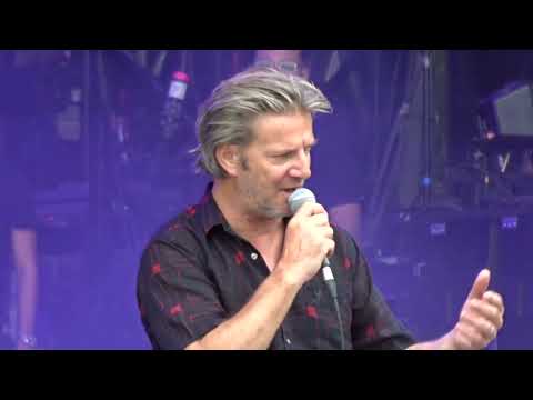 Bertrand Belin - Oiseau (Live) Paris, Rock en Seine 2023