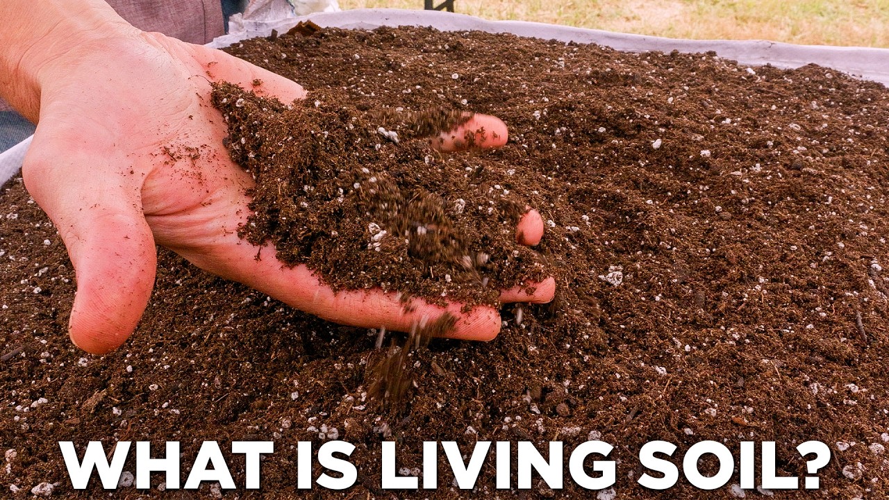 Living Soil vs. Sterile Soil: Tilth