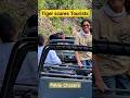 Tiger Scares Tourists In Jim Corbett Shorts Tiger Trending
