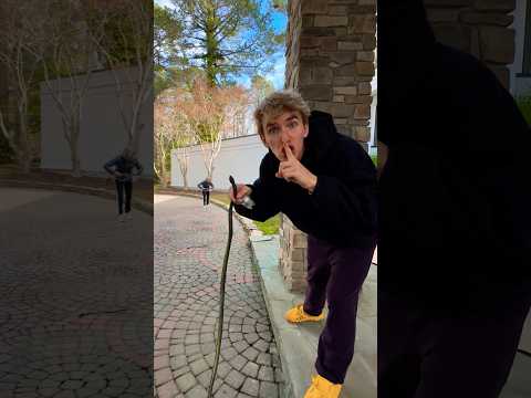 Scaring my MOM with a fake SNAKE! (she didn't see it coming!)