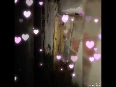 PROJETO VOLUNTÁRIO IDO ANDRADE CAMARAGIBE PERNAMBUCO