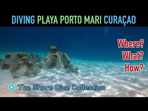 Diving Playa Porto Mari Curaçao | The Shore Dive Collection | TropicLens - 4K