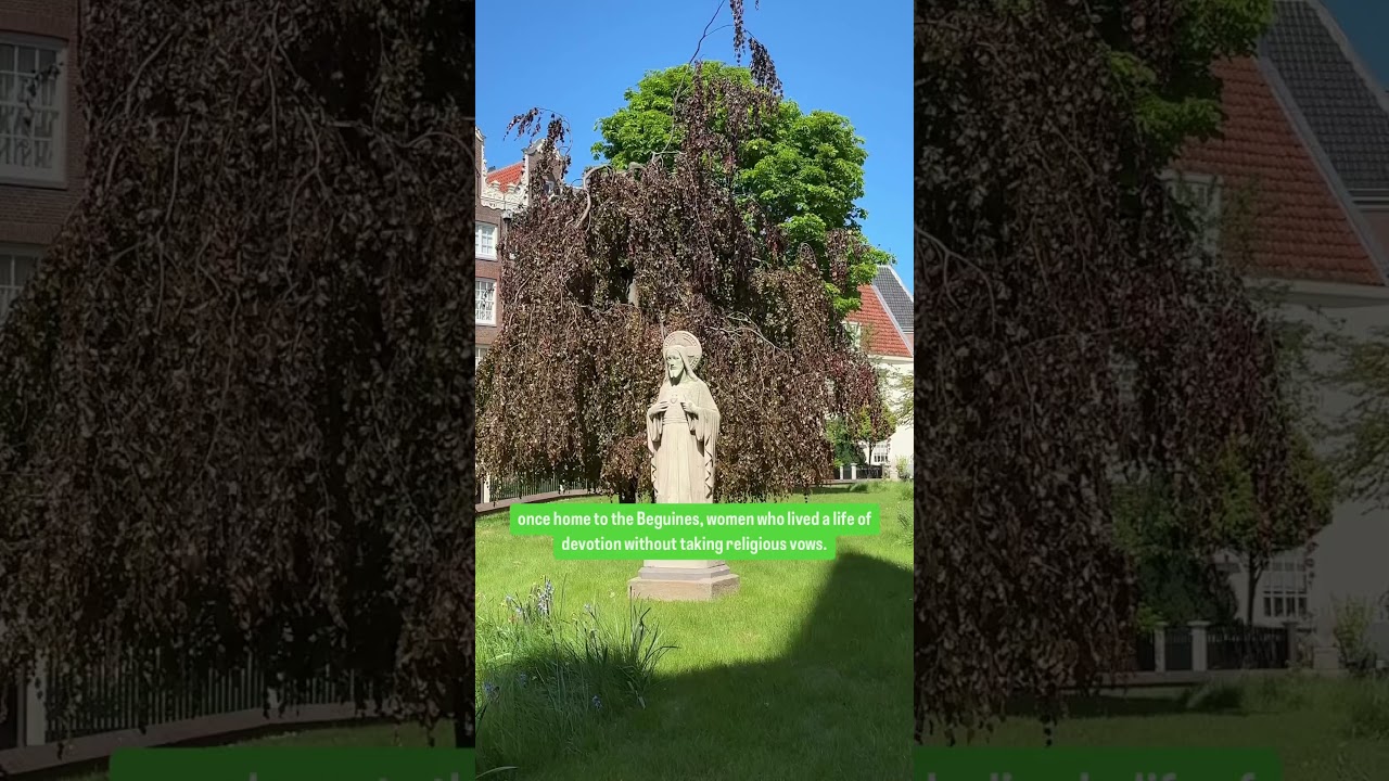 YouTube Short thumbnail