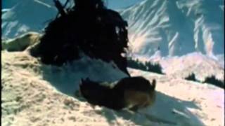 Wolf Brother trailer (awesome edition)