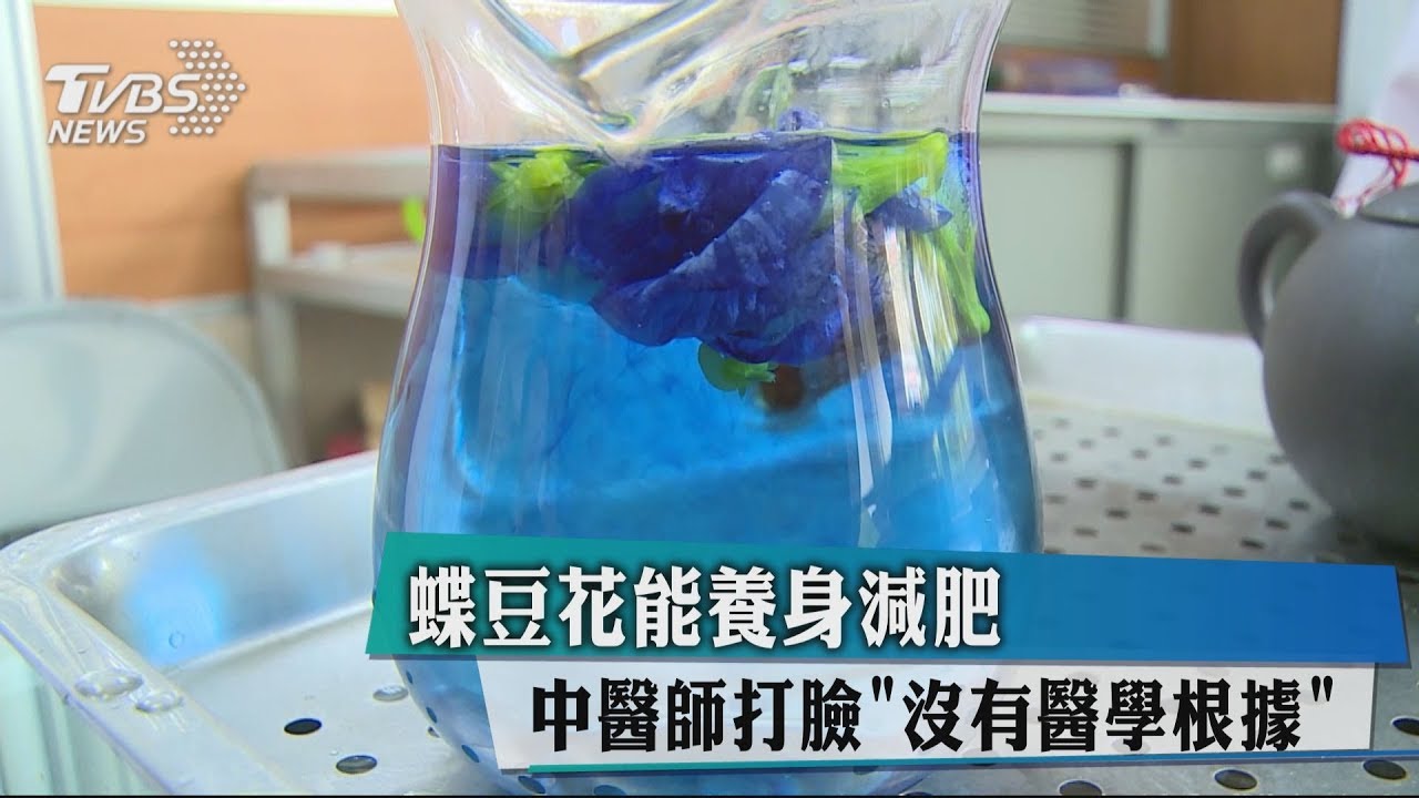 蝶豆花能養身減肥　中醫師打臉「沒有醫學根據」