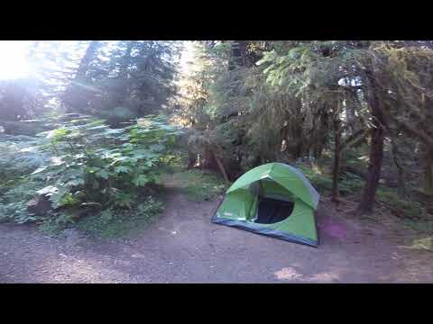 Looking around Site 38