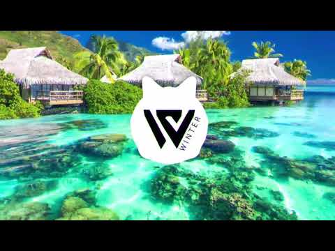 B O W I N D Z Z A - [ WesCrowN ] 4 Vehi DZza 2020