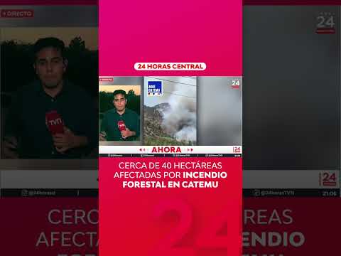 Cerca de 40 hectáreas afectadas por incendio forestal en Catemu | 24 Horas TVN Chile