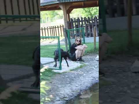 Video di LILY