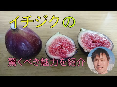 イチジクは太りますか？カロリーと分析