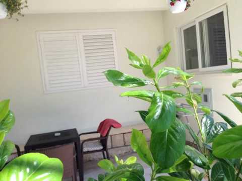 Apartman LUCIJA - Korčula - Croatia