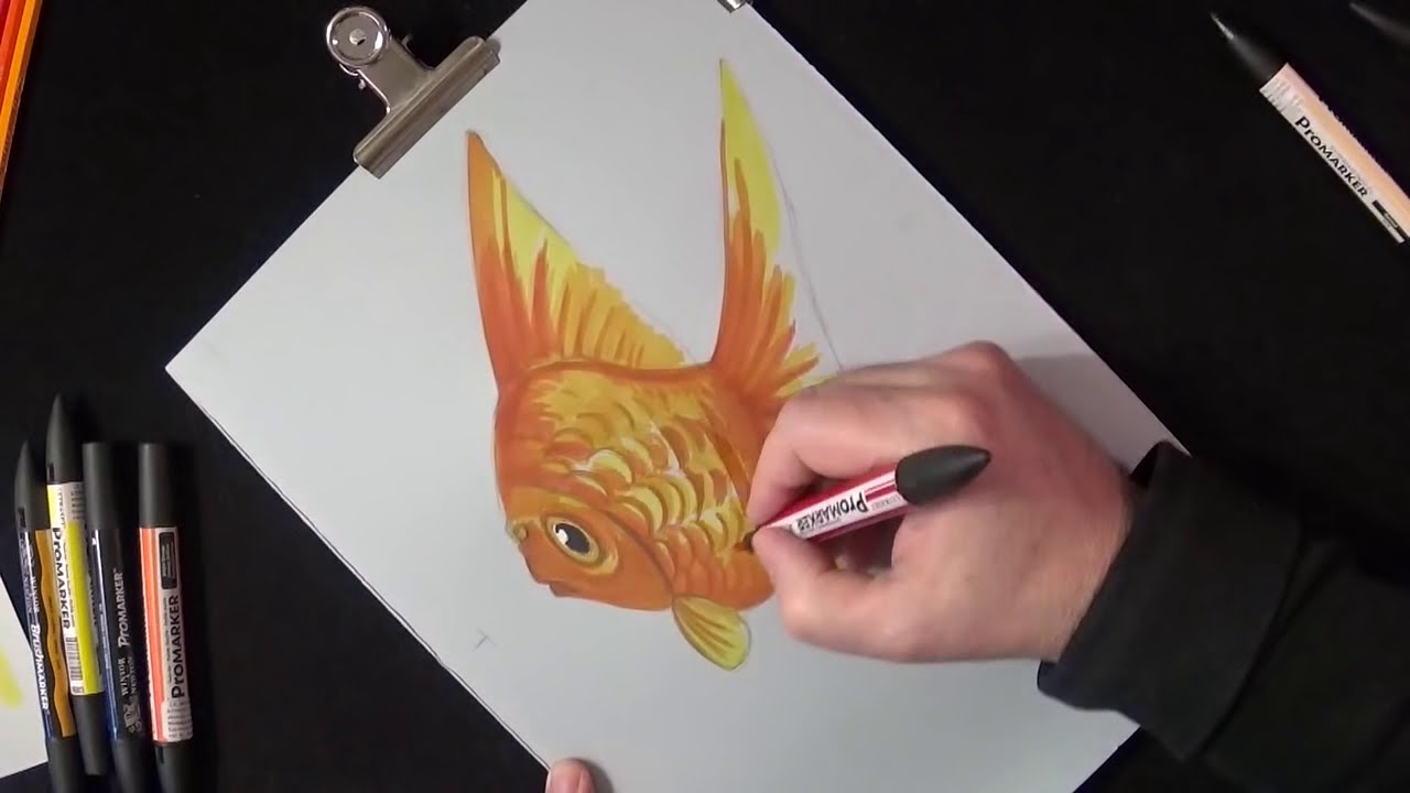 drawing goldfish illusion by sandor vamos