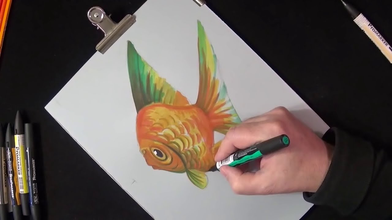 drawing goldfish illusion by sandor vamos