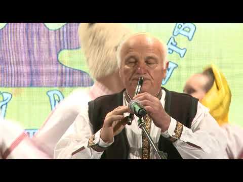 VITOMIR   STANOJEVIC  - STARA  JASIKOVLJANKA  - LIRA  2018