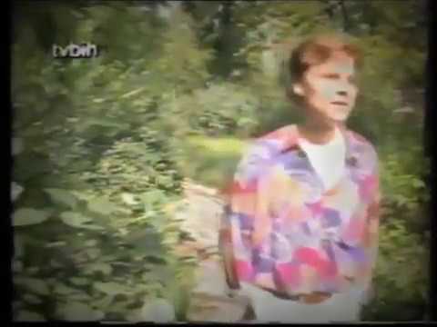 Muhamed Fazlagić Fazla - KIŠA RUŠI GRAD (1993)