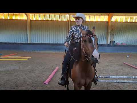 apha pac e show Jun 23 trail Merlin dd gunners