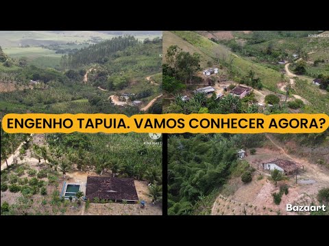 ENGENHO TAPUIA NO MUNICÍPIO DE AMARAJI-PE 