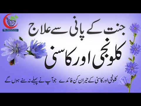 Kalwanji say ilag/Kasani(chicory) kay faidy/ By Hakeem abbas ali #tibbemashriqdawakhana