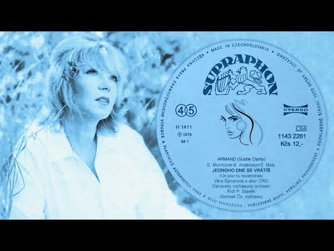 Věra Špinarová - Jednoho dne se vrátíš (ARMAND Subtle Clarity)