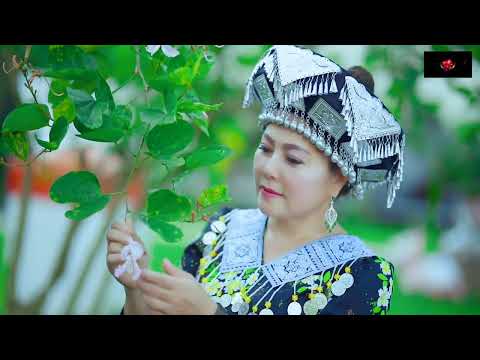 Tos koj hauv nruab dab // Dawb yaj  // oeiginal // nuj xeem