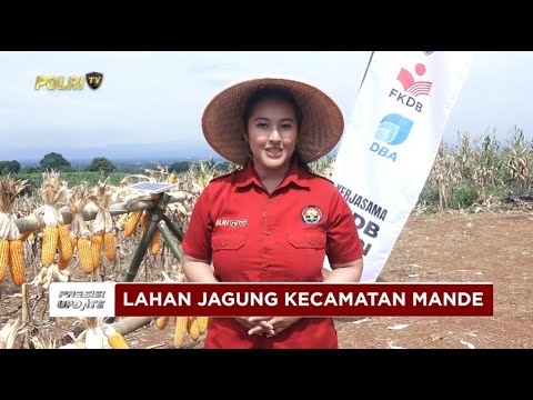 PRESISI UPDATE: PANEN RAYA JAGUNG HIBRIDA BAHARKAM POLRI 20/05/25 (14.00)