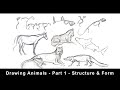 Drawing Animals For Beginners Part 1 Structure Form