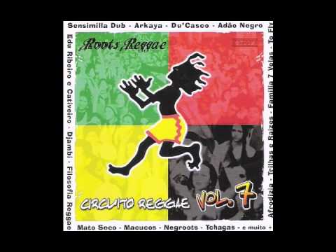3   Trilhas e Raizes   Sob o Céu   Circuito Reggae 7