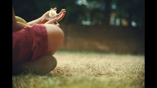 Our Kingdom trailer