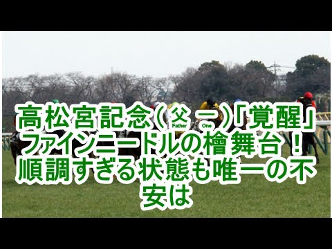 高松宮記念（G1）「覚醒」ファインニードルの檜舞台！ 順調すぎる状態も唯一の不安は| kapacking.club