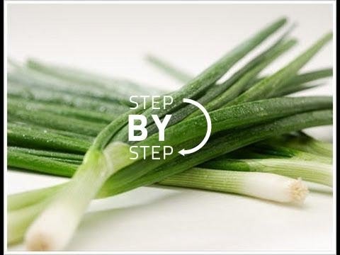 青蔥、香蔥，什麼是青蔥？蔥是什麼？如何切青蔥 (Green Onions, Scallions, What is Green Onion? What are Scallions? How to Cut Green Onions)