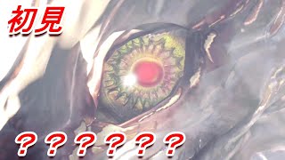 ラストボスのスケール半端なくて岩生えた【モンスターハンターワールドアイスボーン新天地で狩猟生活】