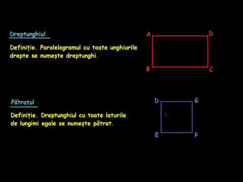 Patrollers | Virtual-Lectii.ro