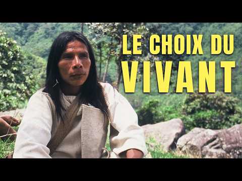 Miniature de la vidéo Kogi / K?ggaba ? Le choix du vivant