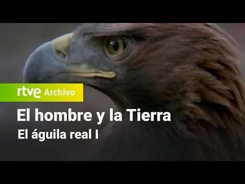 El hombre y la tierra: Chapter 46 - The Golden Eagle I | RTVE Archivo