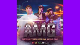 Cover art for AMG