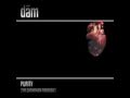 Dam - Rain-Journey into the Sun