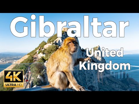 Gibraltar 🇬🇮 The Rock - Summer Walk 2025 4K 60fps (Europe’s Only Wild Monkeys) ​[Binaural ASMR]